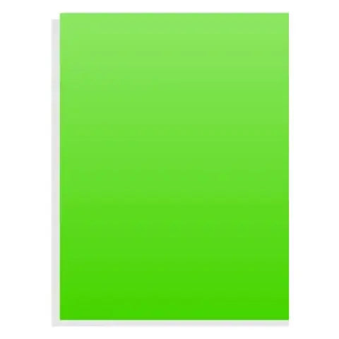 Cartulina Pliego Verde Claro 53.3x77 cm