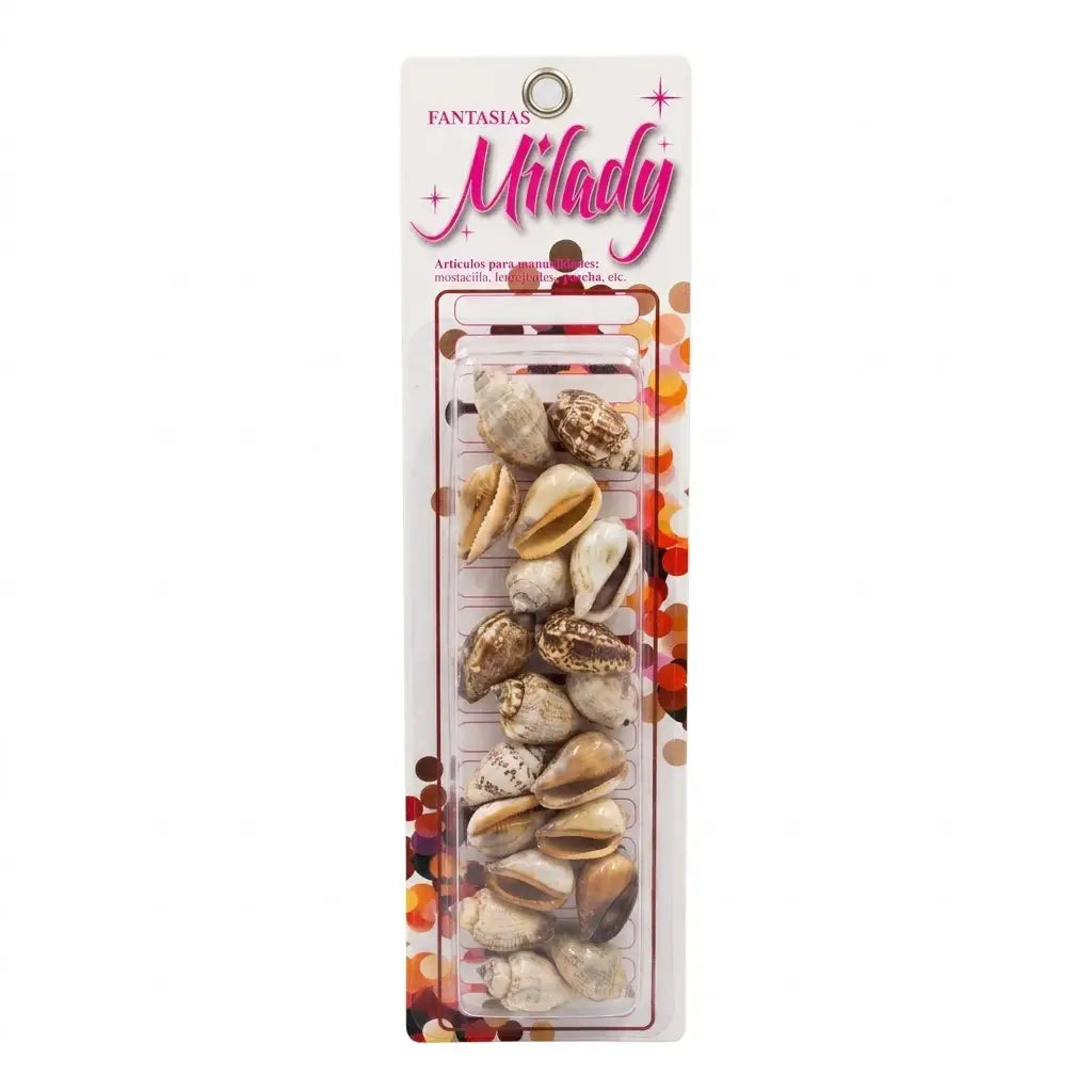 Conchitas de mar naturales para manualidades pack 20 unidades