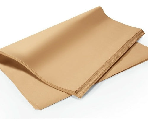 Papel Kraft 70gr Pliego 80 x 110cm (1 Unidad)