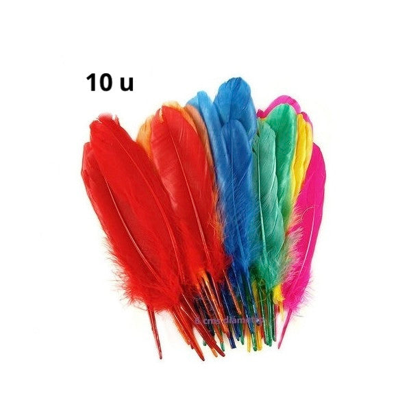 Plumas Decorativas Colores Surtidos (10 Unidades)