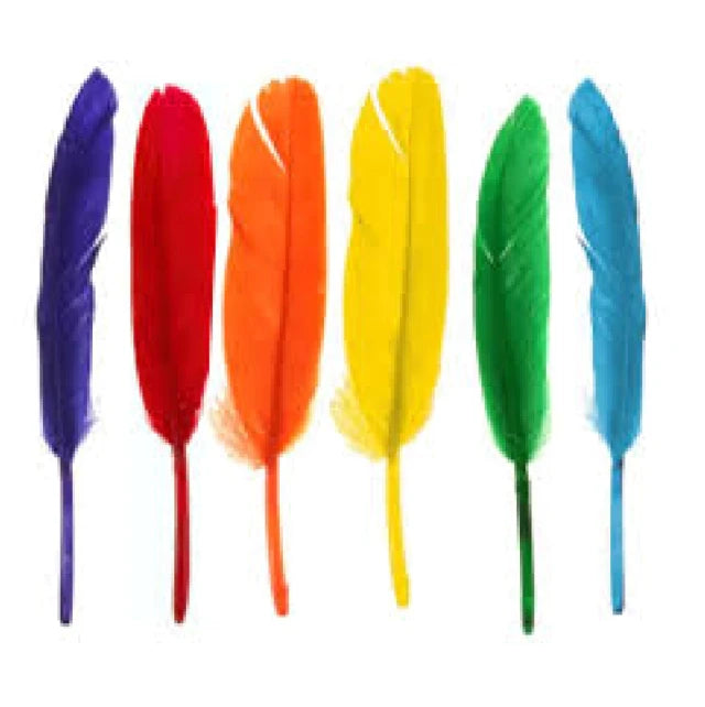 Plumas Decorativas Colores Surtidos (10 Unidades)
